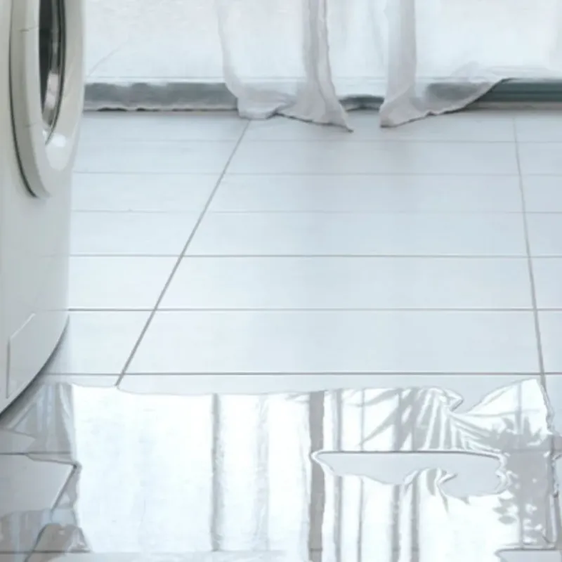 Appliance Leak Cleanup in Chichester, NH