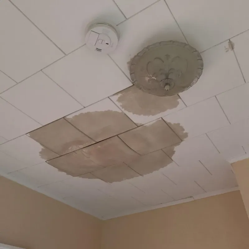 Ceiling Water Damage Repair in Chichester, NH