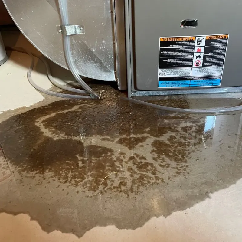 Pipe Burst and Leak Restoration in Chichester, NH