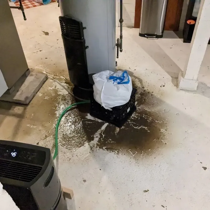 Sewage Backup Cleanup Service in Chichester, NH